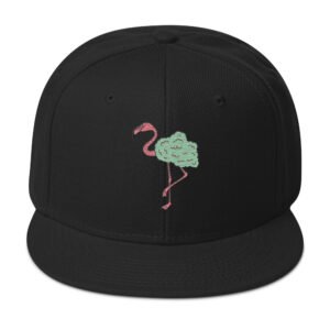 Snapback Hat